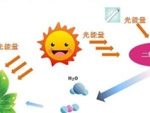 甲醛治理用什么辦法最正確？這三點常見的除甲醛辦法其實是誤區